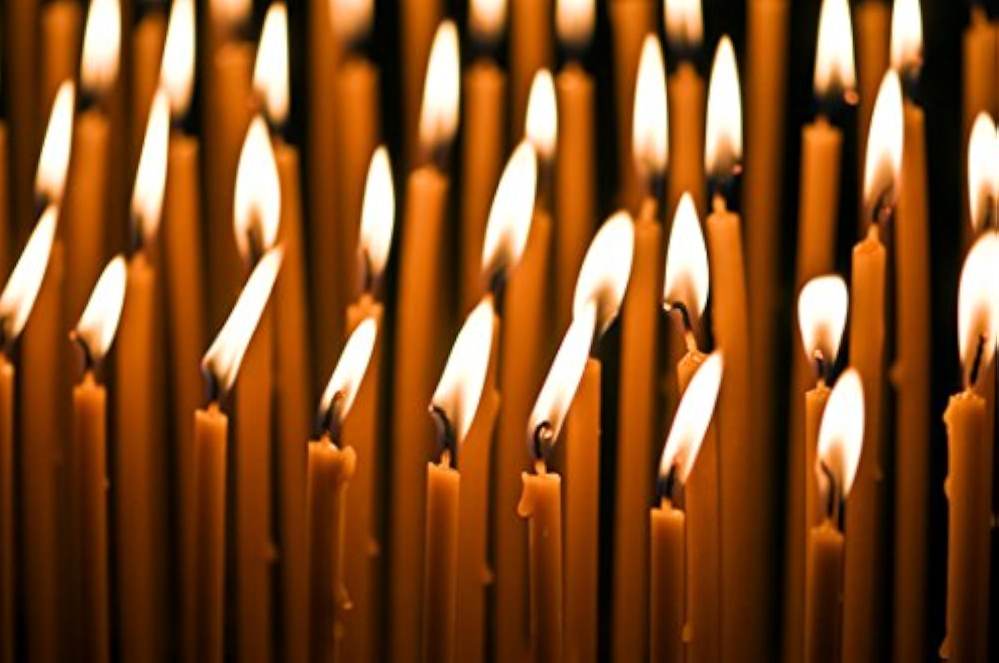 Beeswax 4-Hour Candle Pack
